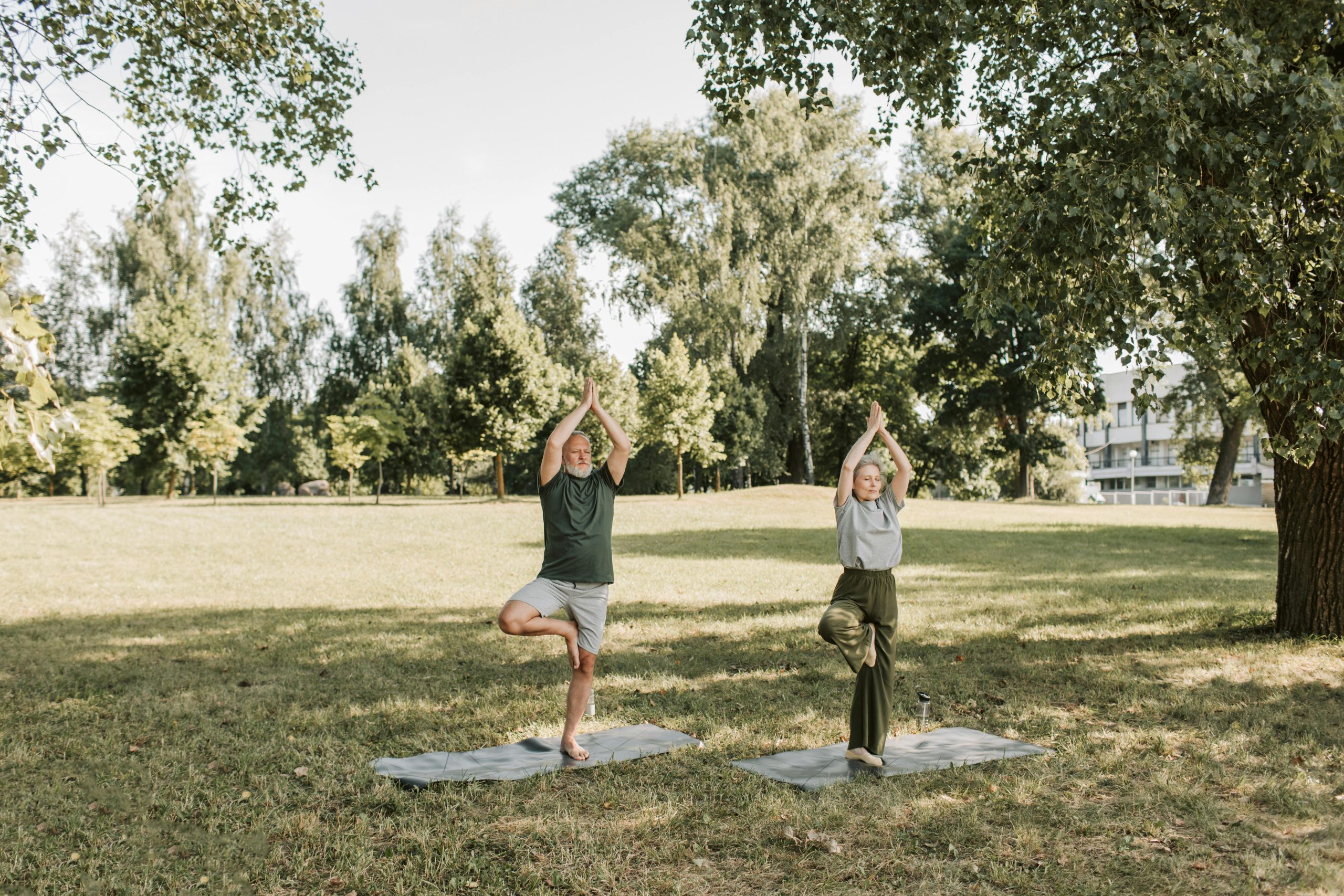 senior yoga